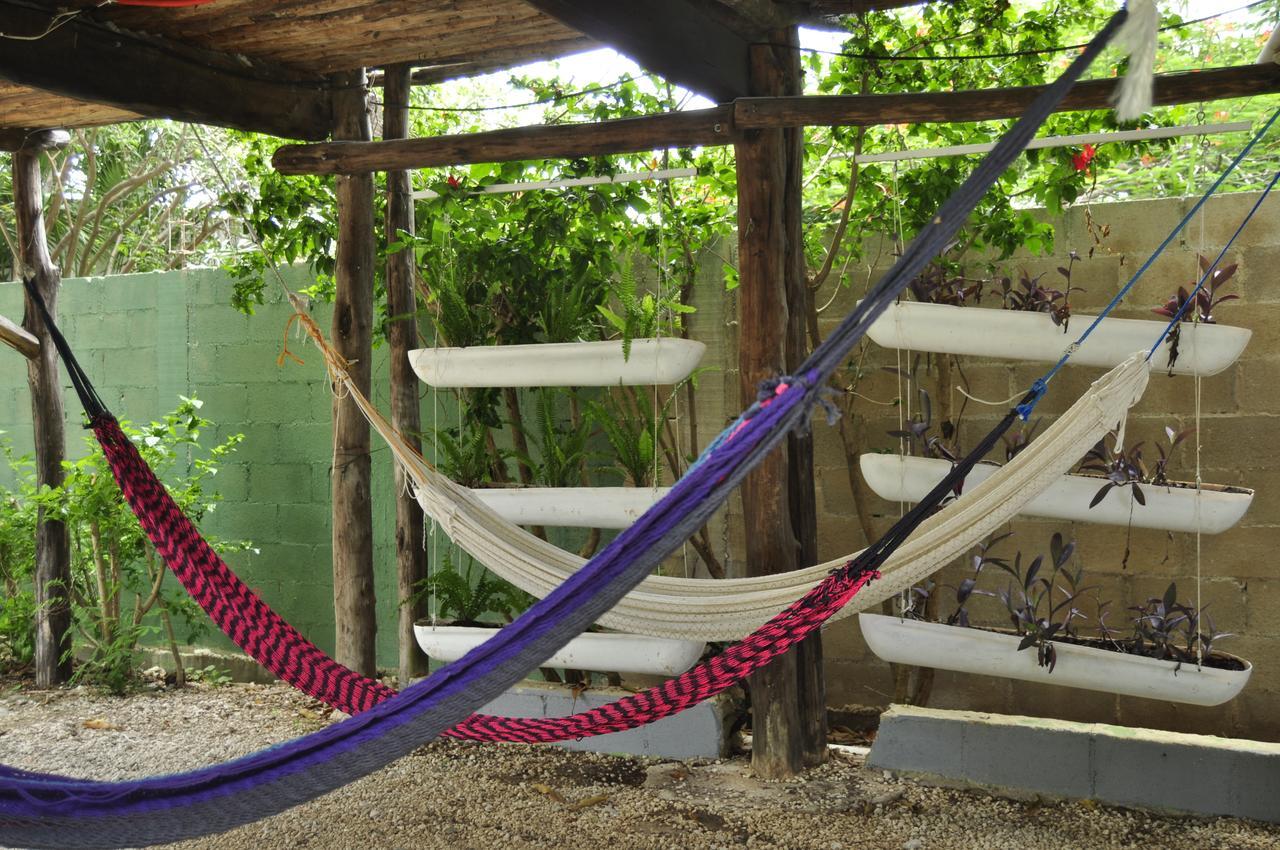Lobo Inn Tulum Exterior photo